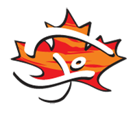 Skydive Okanagan logo